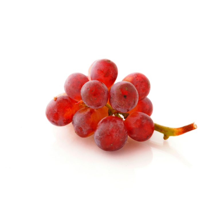 Red Grapes Globe