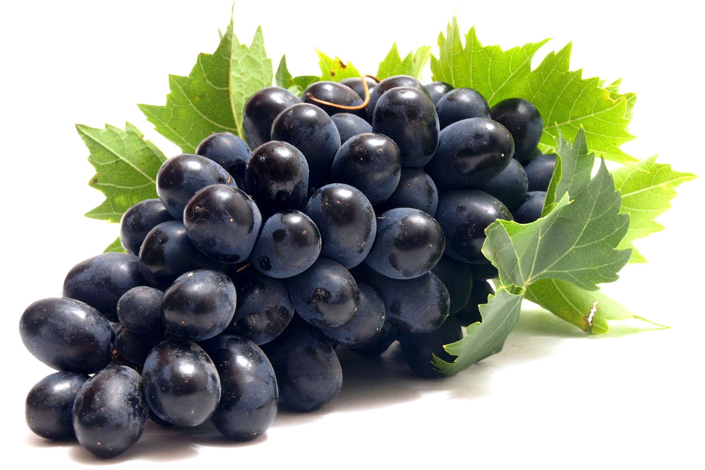 BLACK GRAPES(Imported)