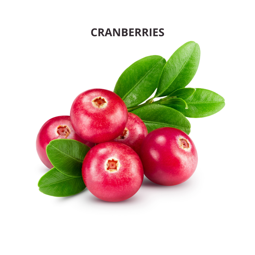 FRESH CRANBERRY - IMPORTED