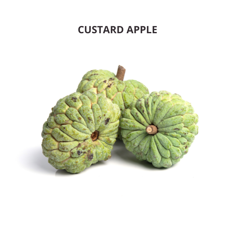 CUSTARD APPLE