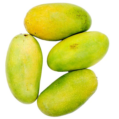 Dasheri Mango