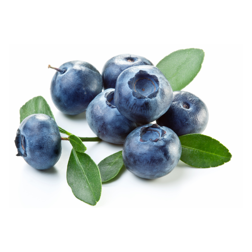 Fresh Blueberry - Imported