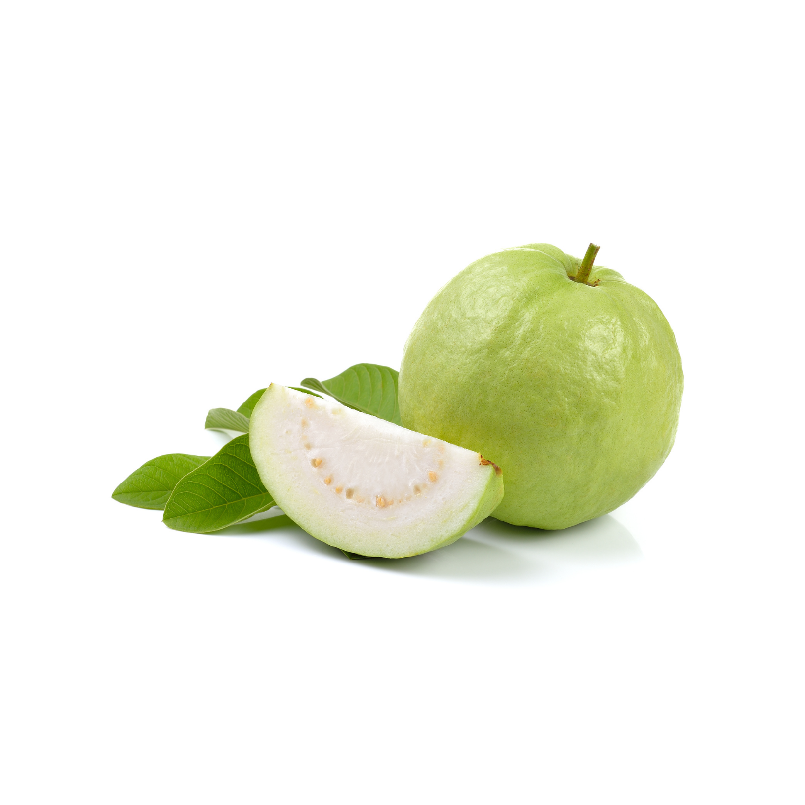 GUAVA