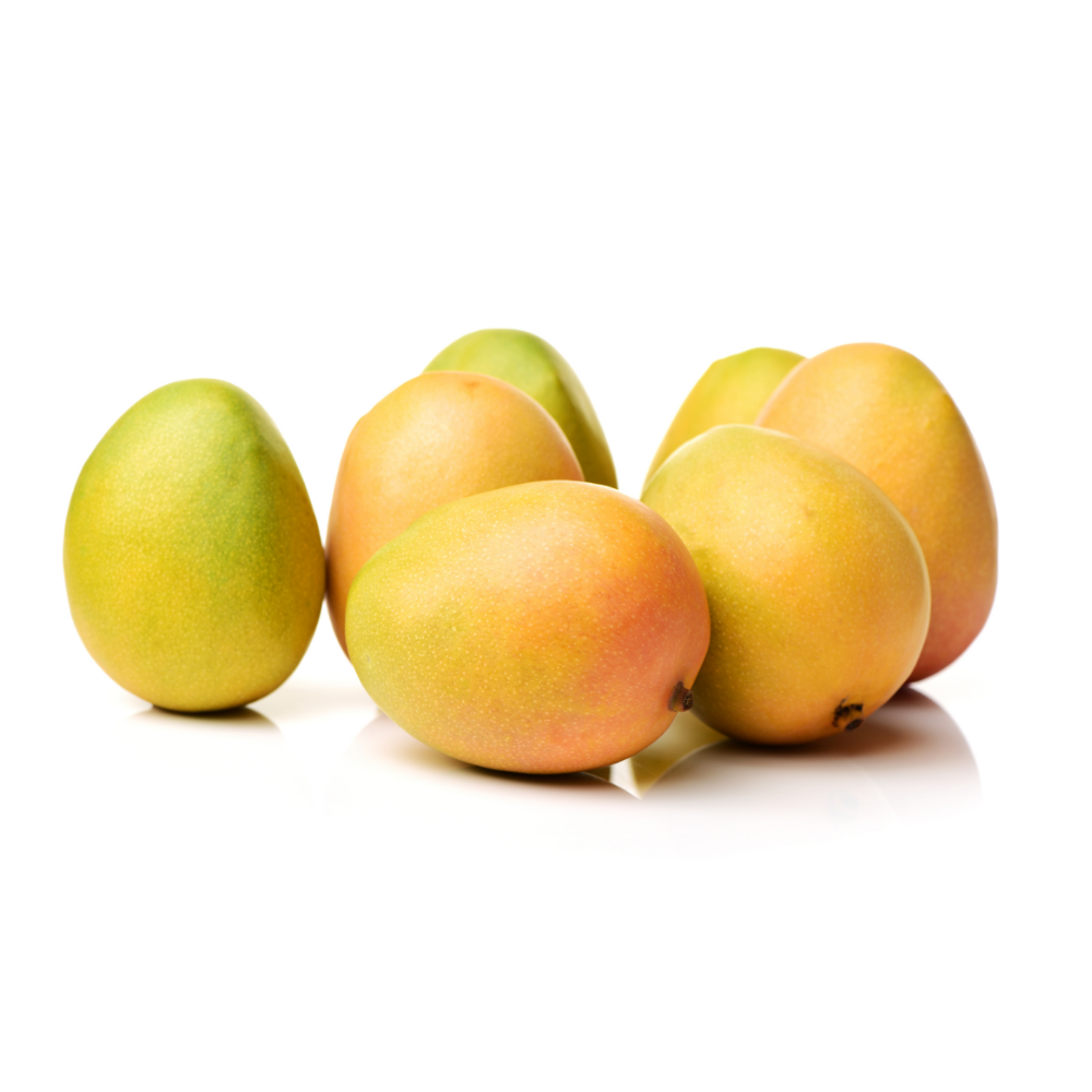 Export Quality Kesar Mango - 1 Dozen (12 PCS)