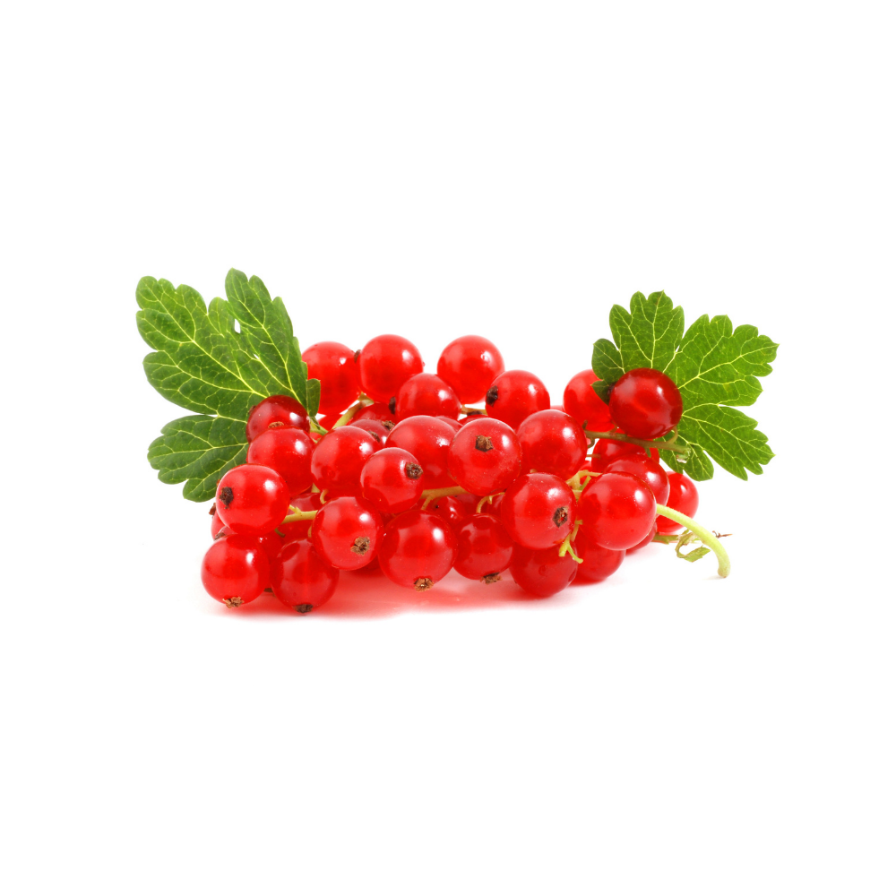 Fresh Red Currant - Imported