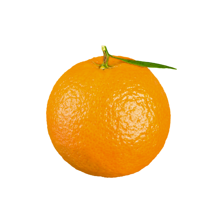 Malta Orange Imported