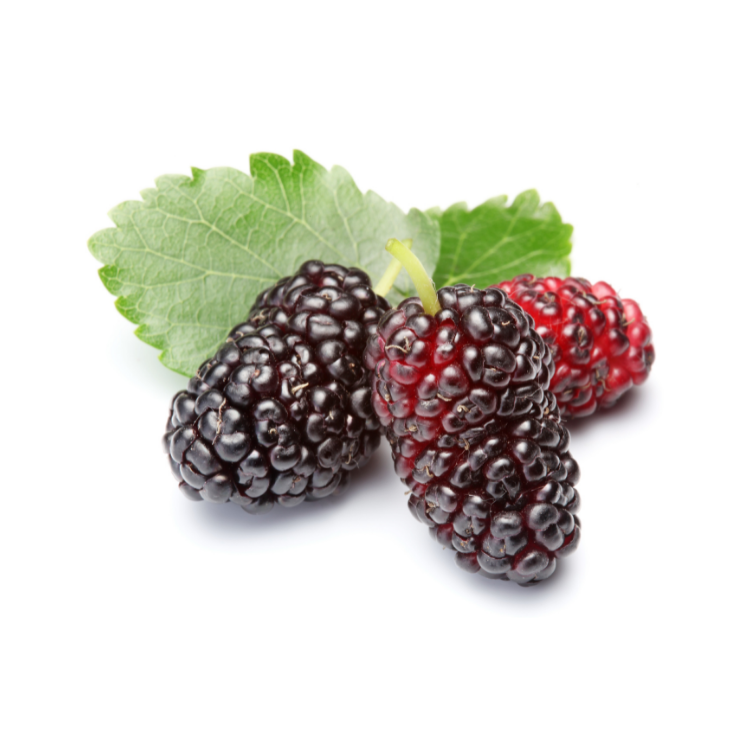 Fresh Mulberry - 180 Grams