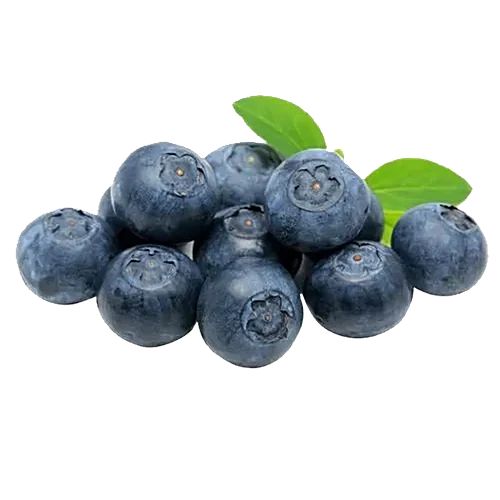 Blueberry